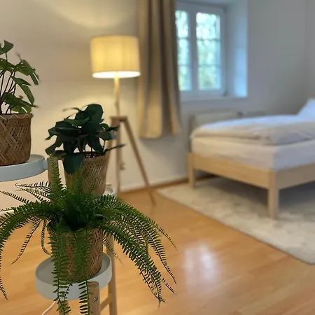 Mit 3 Schlafzimmern, Dachterrasse Und Flussblick Apartment Uehlingen-Birkendorf